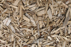 biomass boilers Curr